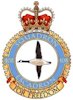 408 Squadron RAF
