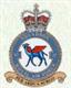 45 Squadron RAF