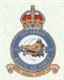 144 Squadron RAF