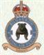 166 Squadron RAF